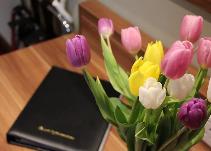 Southern & Leisure Centre 4* Слайго