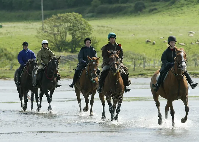 Отель Southern & Leisure Centre Слайго